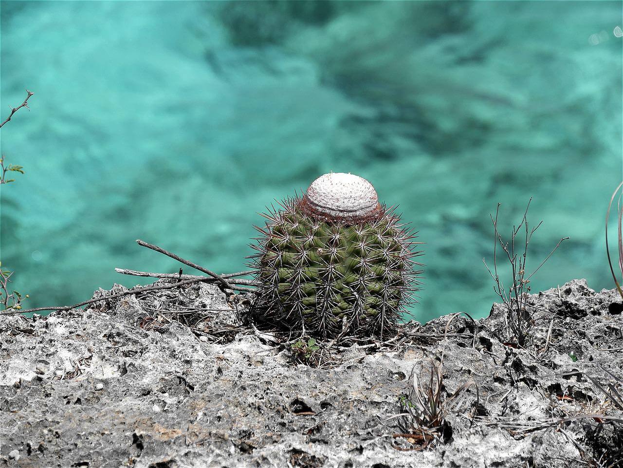 leuke activiteit bonaire reis langs de kust